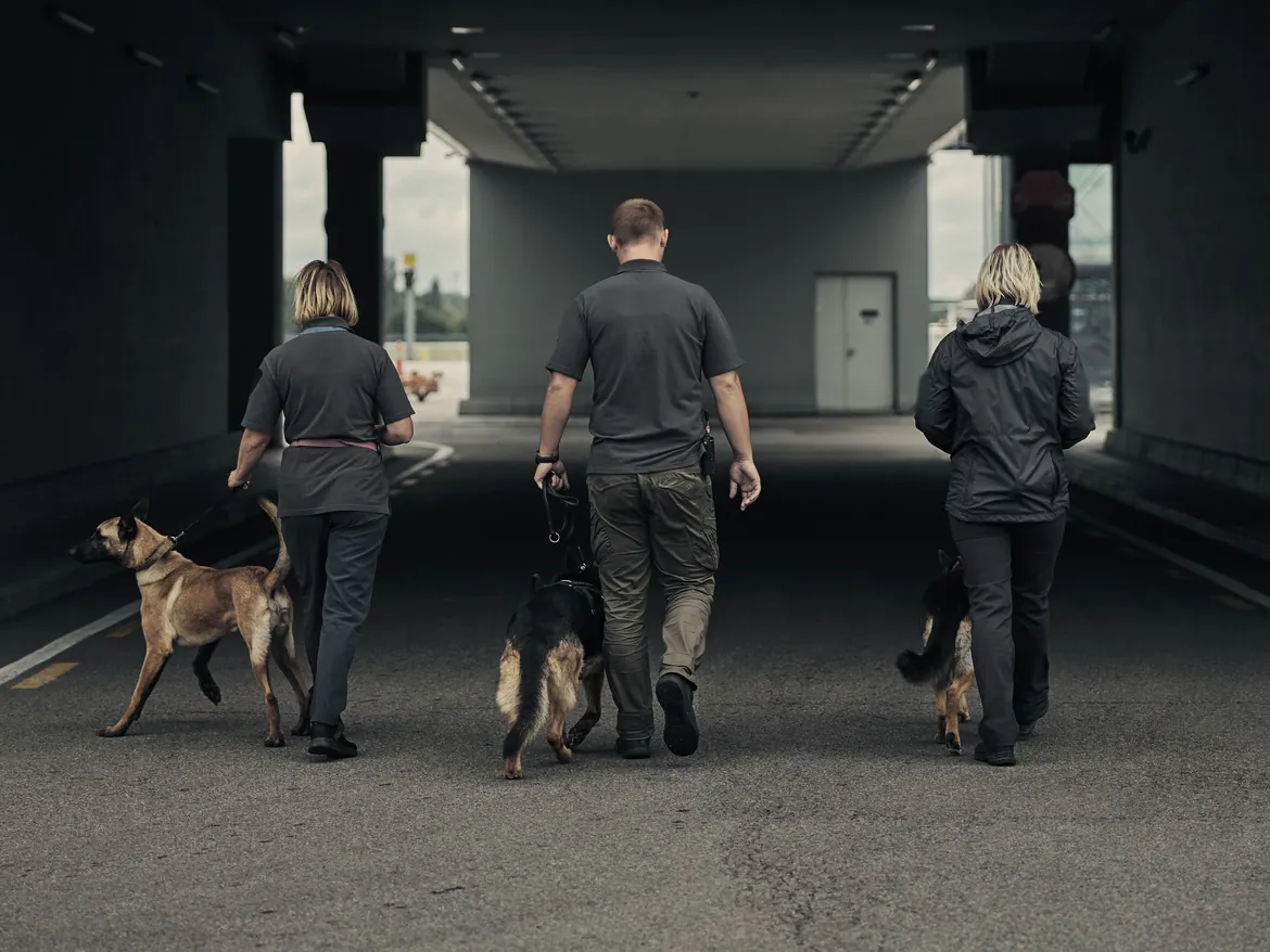 Working dogs and handlers checking a venue service approach.