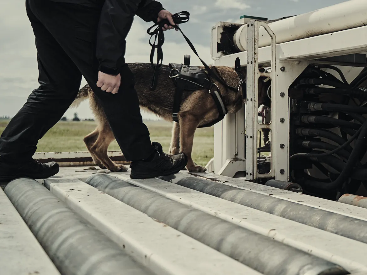 A working dog and handler inspecting cargo equipment.